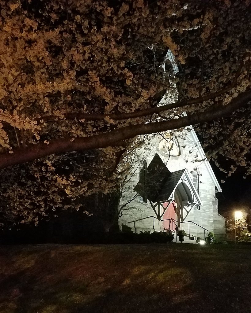 Germantown Ave. Church and Blossoms 