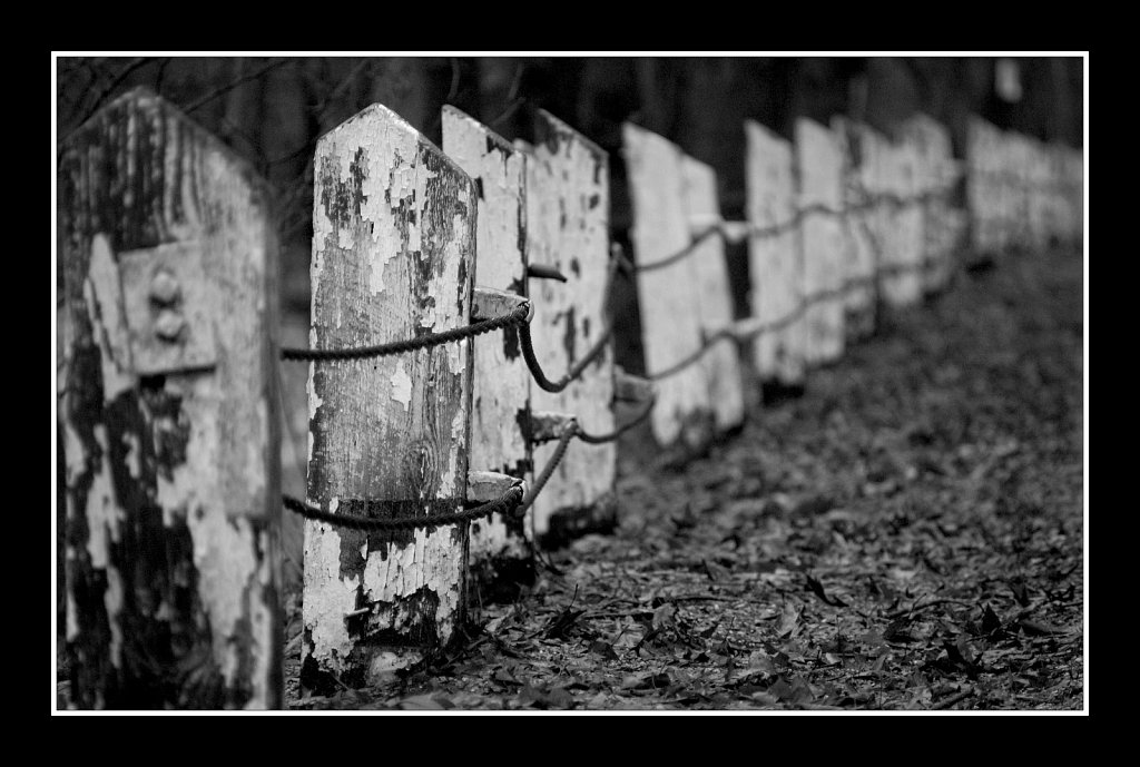 Endless Fence