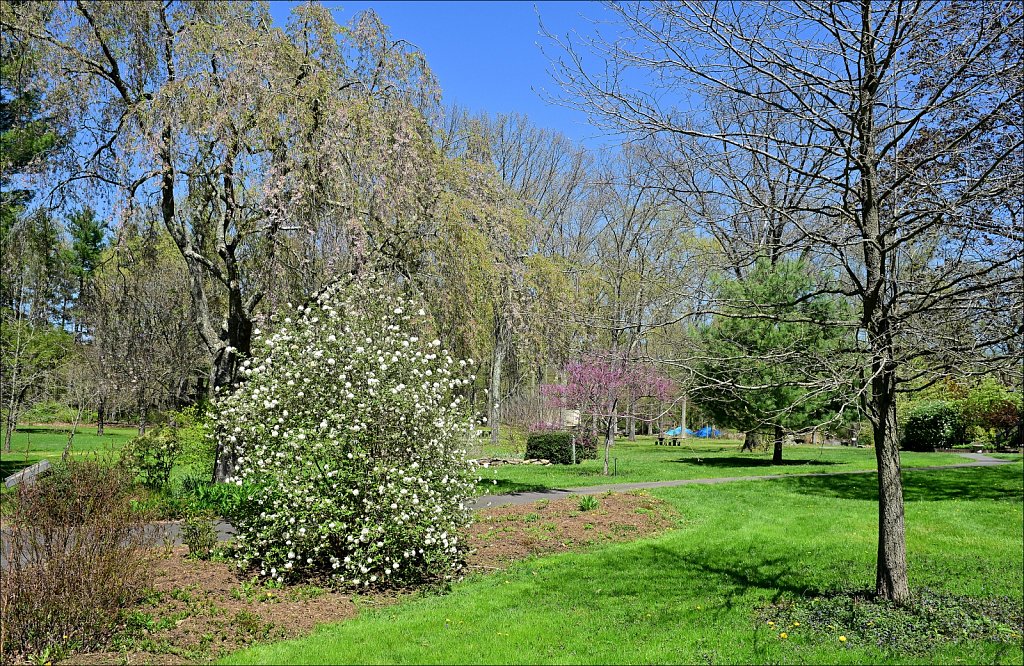 Hunterdon County Arboretum 