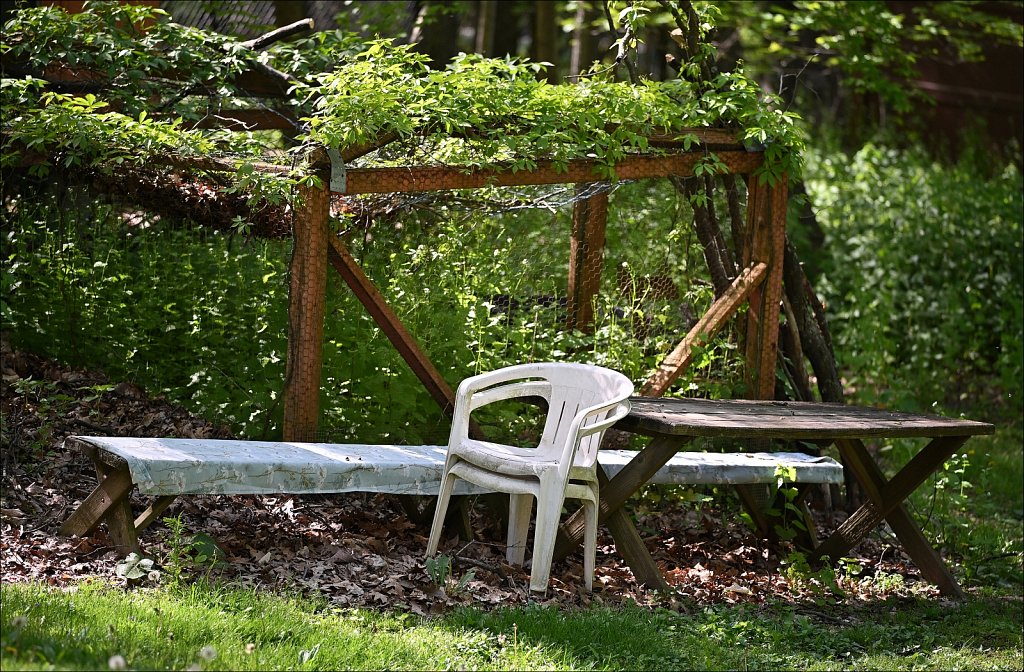 Taking a Backyard Seat