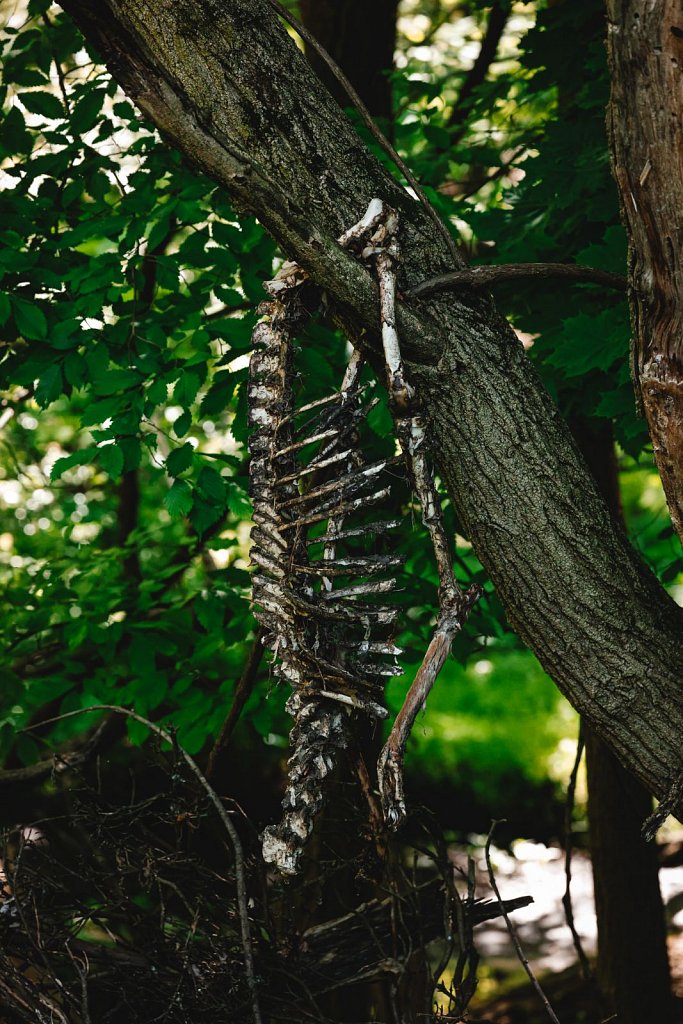 "Decay" Card 4