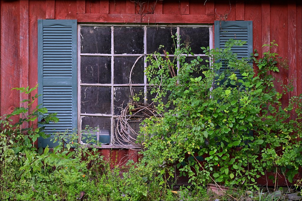 Upstate NY 2024