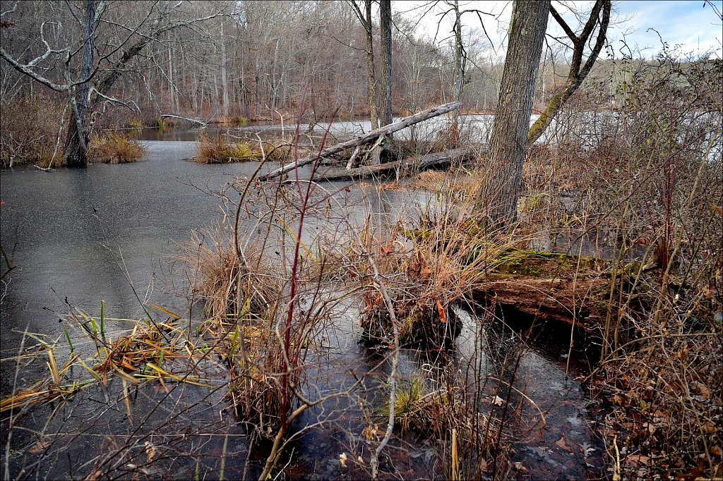 Along The Sussex Branch Trail