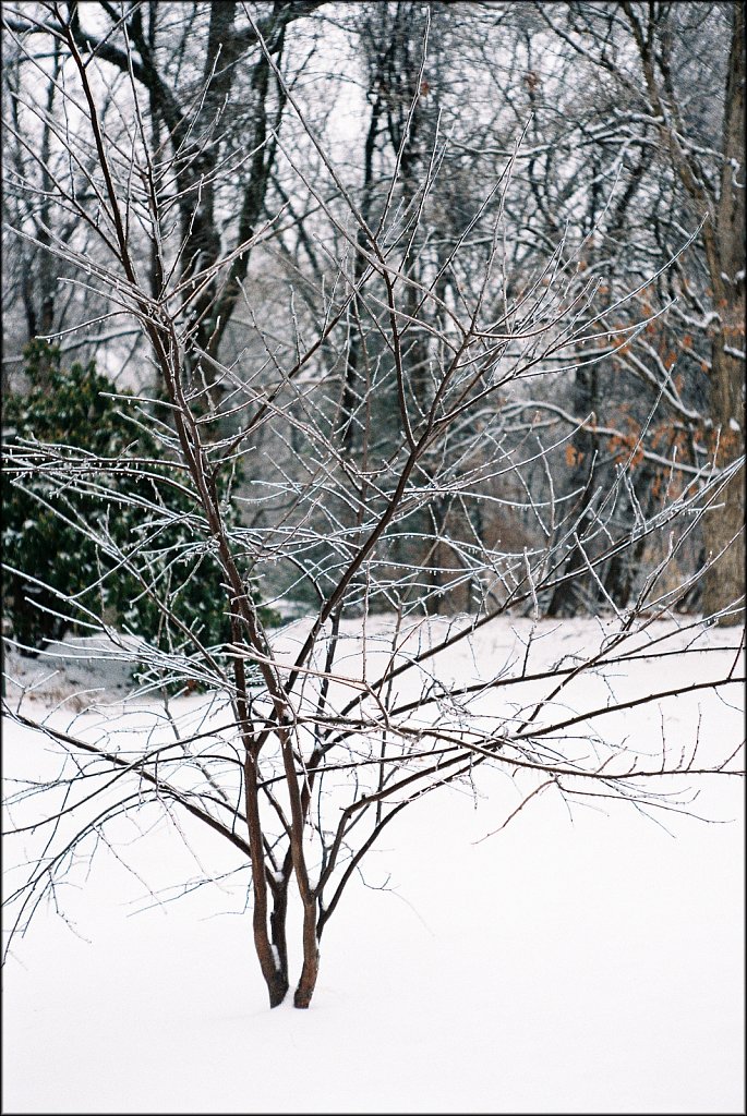 Leica IIIF test