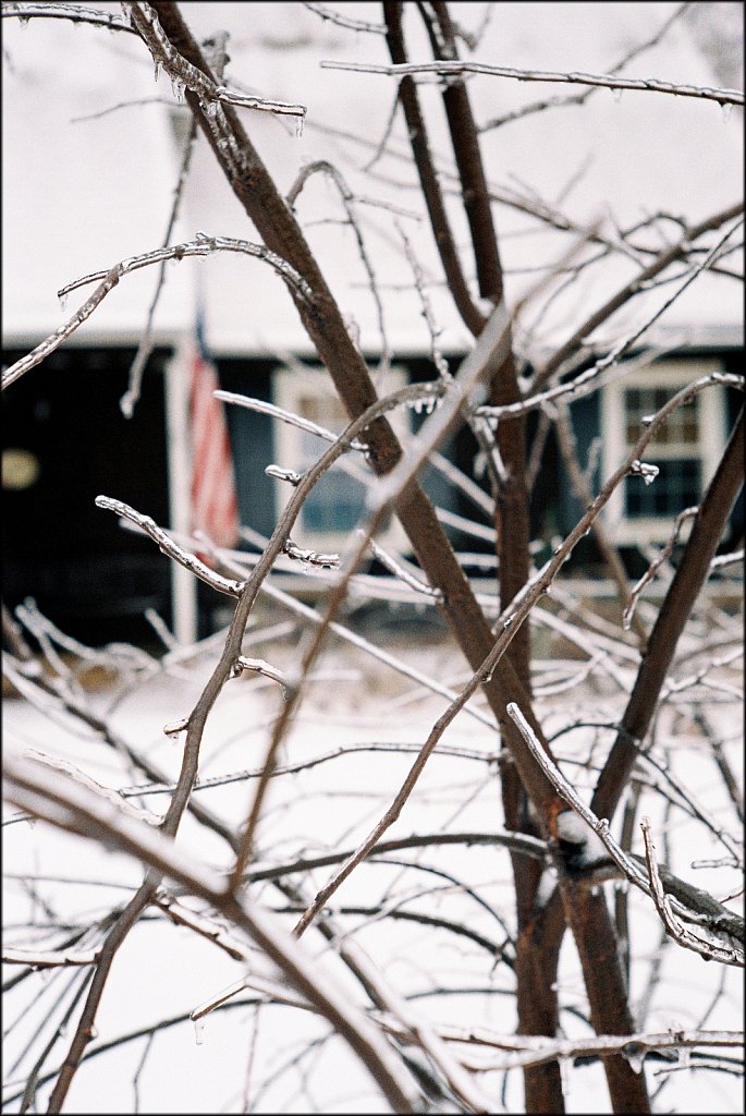 Leica IIIF test