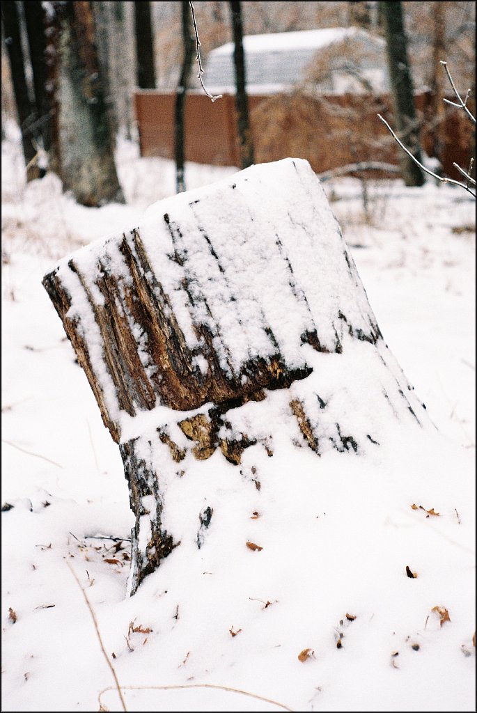 Leica IIIF test