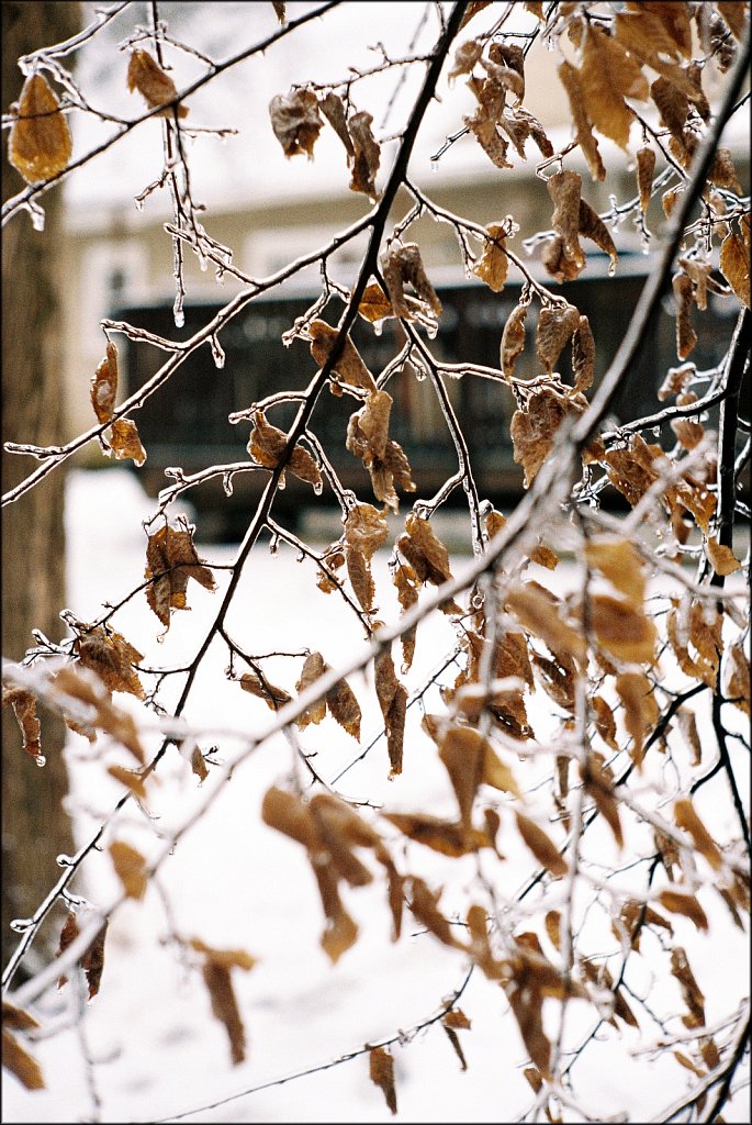 Leica IIIF test