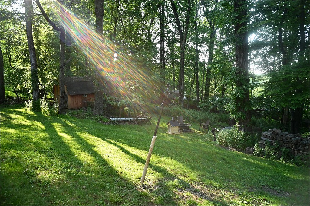 Canon LTM 28mm F/3.5 - Backyard Lens Test