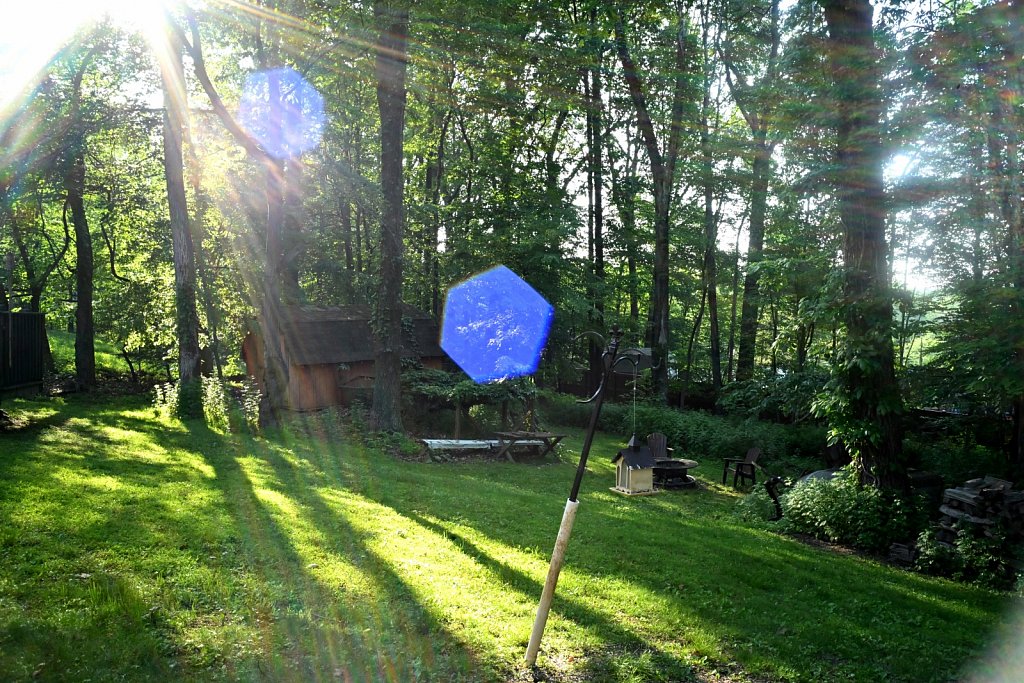 Canon LTM 28mm F/3.5 - Backyard Lens Test