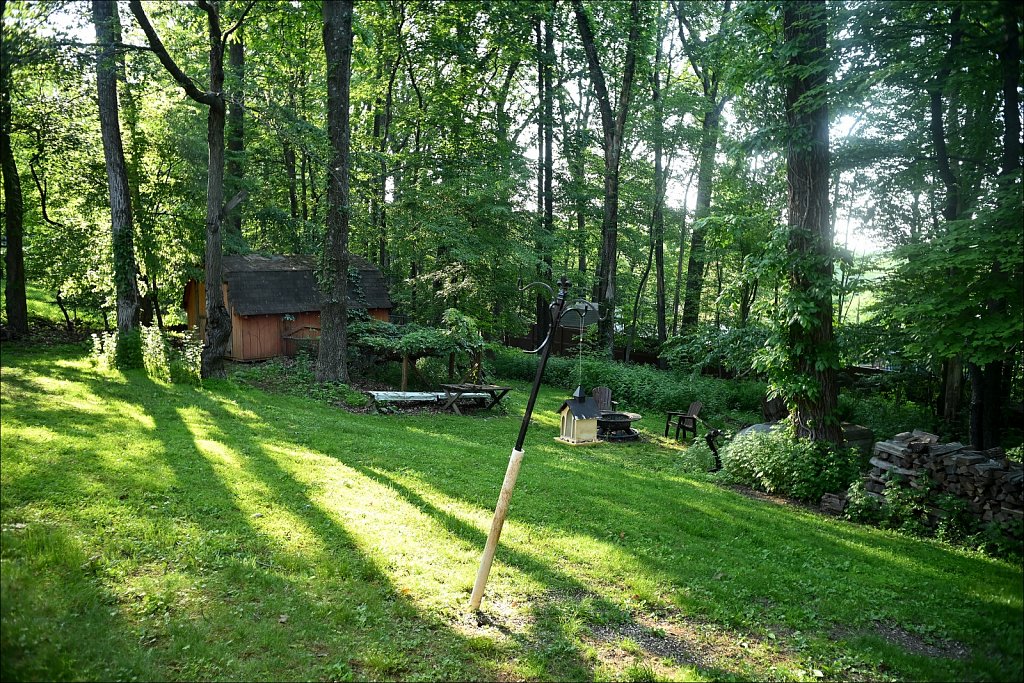 Canon LTM 28mm F/3.5 - Backyard Lens Test