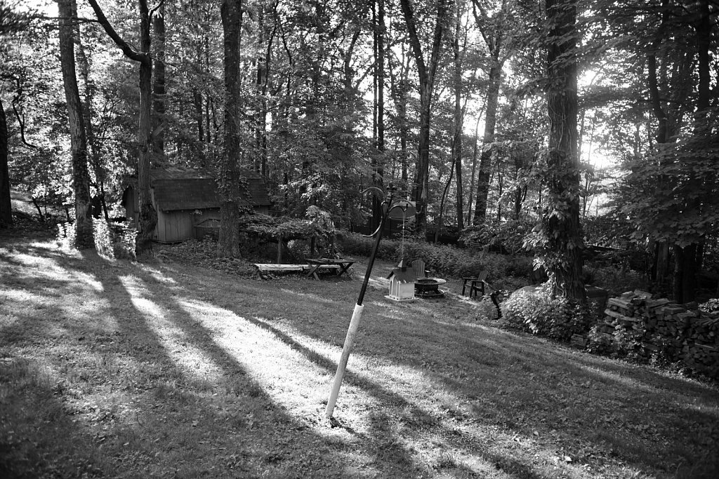 Canon LTM 28mm F/3.5 - Backyard Lens Test