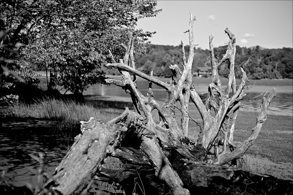 Saugerties Lighthouse & Ruth Reynolds Glunt Nature Preserve