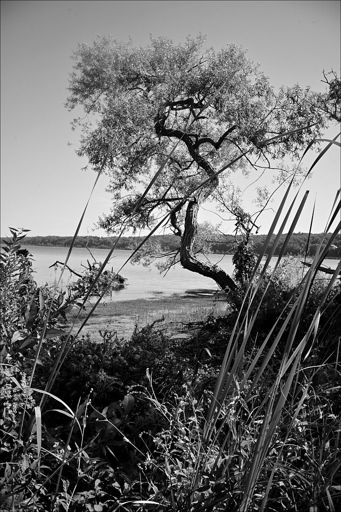 Saugerties Lighthouse & Ruth Reynolds Glunt Nature Preserve  