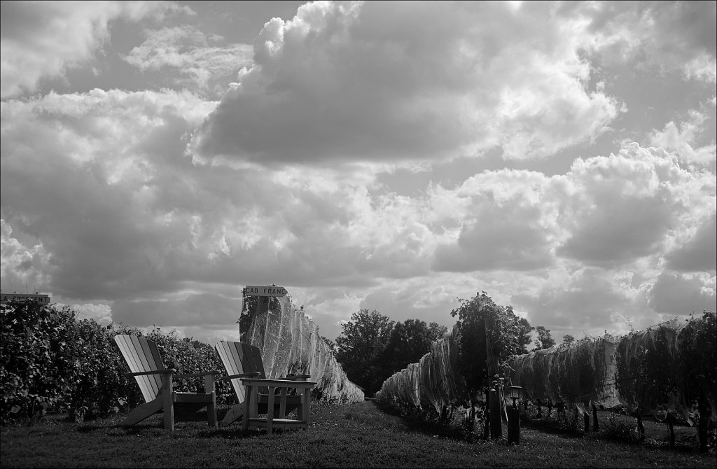 Bishop Estate Vineyard and Winery 