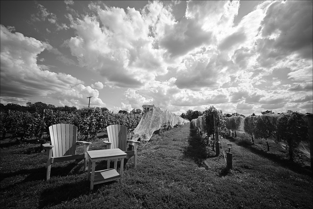 Bishop Estate Vineyard and Winery 