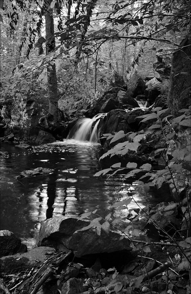 Sussex Branch Trail