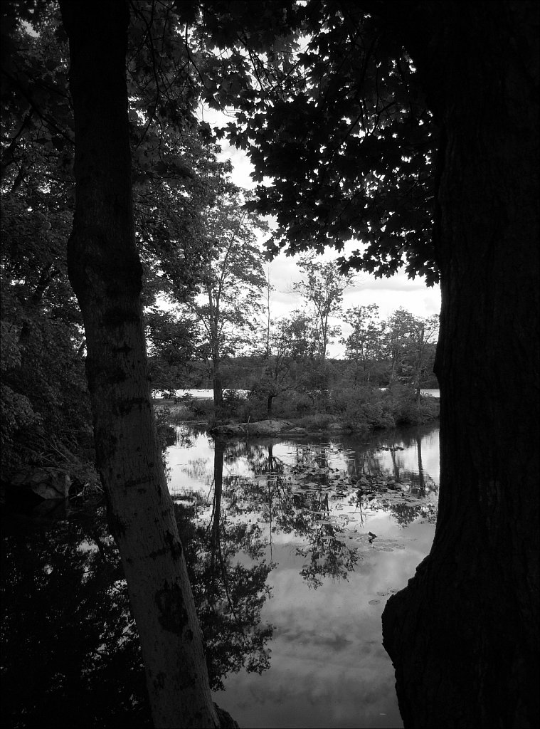 Jefferson Lake - Sussex Branch Trail