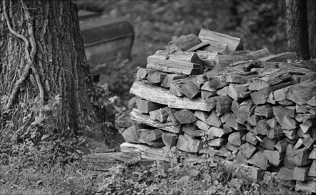 Wood