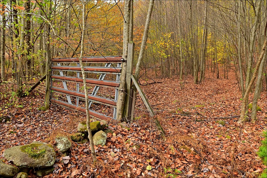 Fall 2025 Upstate NY