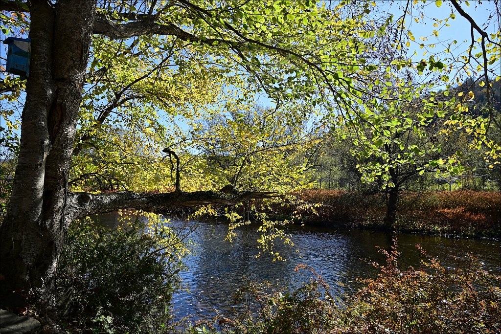 Riverside Park along The Willowemuc 